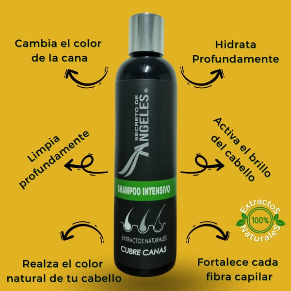 SHAMPOO ANTICANAS, SHAMPOO CUBRE CANAS